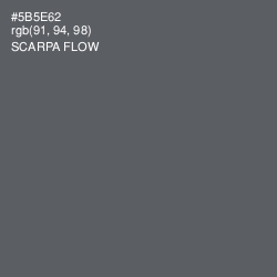 #5B5E62 - Scarpa Flow Color Image